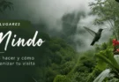 Mindo: qué hacer y cómo organizar la visita